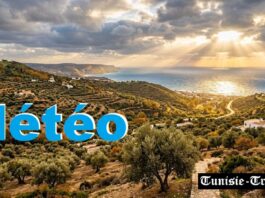 Prévisions Météo détaillées du dimanche 20 septembre 2026 et tendances pour la semaine à venir