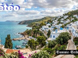 Prévisions Météo de ce dimanche 13 septembre 2026