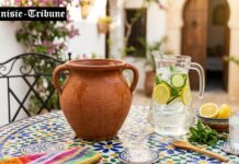 Conseils & Protocole de Purification de l’eau du robinet à domicile en période de Canicule