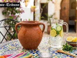 Conseils & Protocole de Purification de l’eau du robinet à domicile en période de Canicule