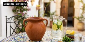 Conseils & Protocole de Purification de l’eau du robinet à domicile en période de Canicule