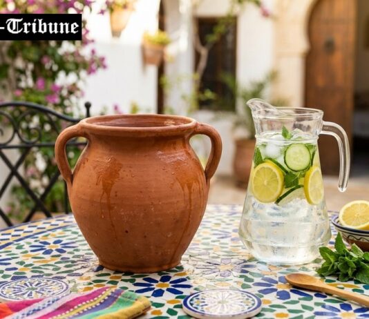 Conseils & Protocole de Purification de l’eau du robinet à domicile en période de Canicule