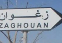 Zaghouan : quatre nouveaux bassins pour collecter les margines avant la saison oléicole
