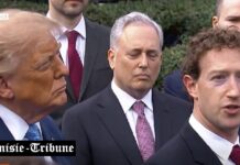 iA ou Super Intelligence ? Vers une redéfinition du futur technologique initiée par Trump !