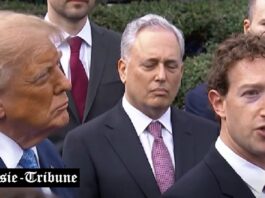 iA ou Super Intelligence ? Vers une redéfinition du futur technologique initiée par Trump !