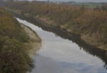 Oued Medjerda : 97 infractions environnementales relevées