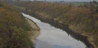 Oued Medjerda : 97 infractions environnementales relevées