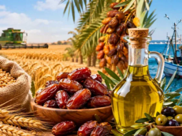 Le financement de l’huile d’olive et dattes en débat par GifDattes
